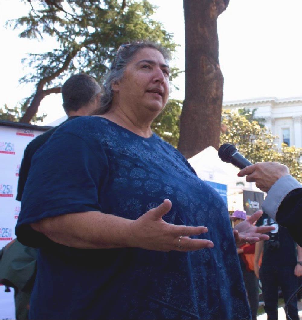 Photo of Teresa Favuzzi talking with a TV reporter at Disability Capitol Action Day (DCAD).